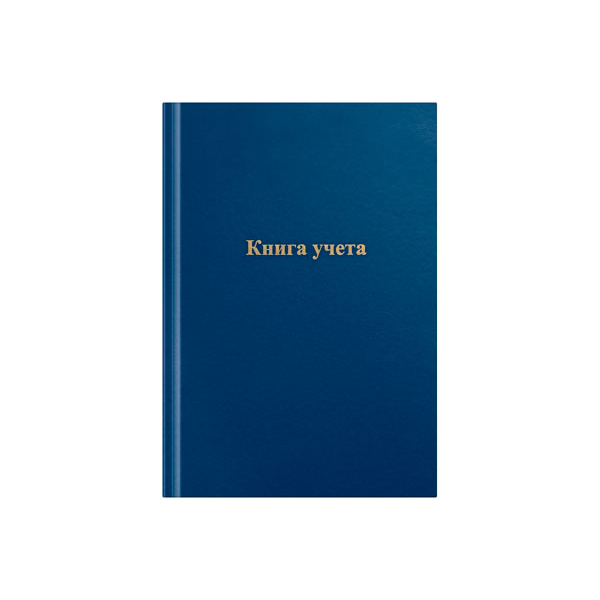 Книга учета А4 96л. Бумвинил