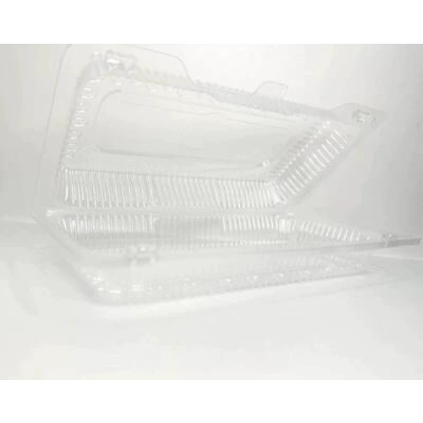 Коррекс РК-19 (1/50/480)