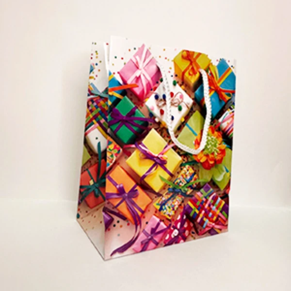 Пакет подарочный 18*23 "Яркие подарки" (1/12)