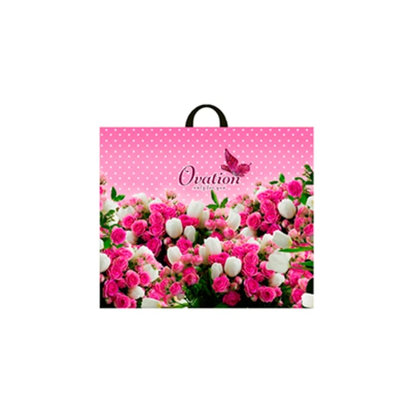 Пакет с петлевой ручкой 60*50-70мкм "Овация" (1/25/250шт)