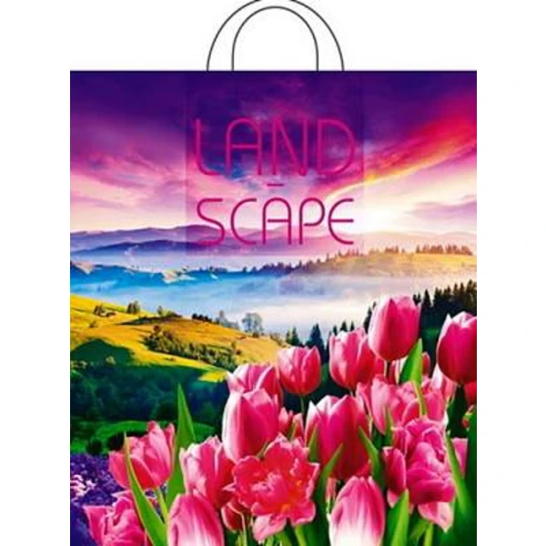 Пакет с петлевой ручкой 38*42-50мкм "Просторы" (1*25/20уп)