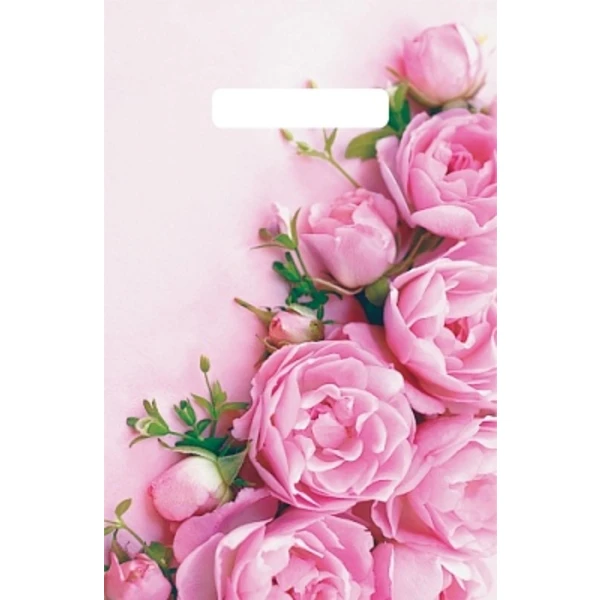 Пакет с вырубной ручкой 20*30-30мкм "Ненси" (1*100)