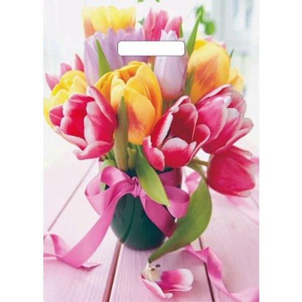 Пакет с вырубной ручкой 29*40-35мкм "Сиеста" (1*50/20уп)