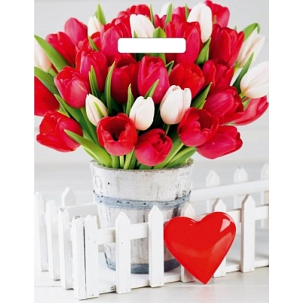 Пакет с вырубной ручкой 31*40-60мкм "Белиция" (1*50/20уп)